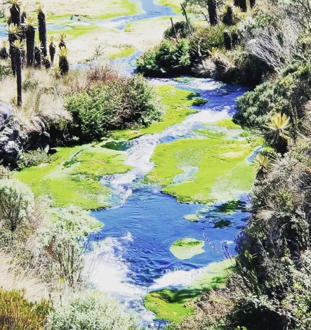 Sécurité en Colombie pendant un voyage nature