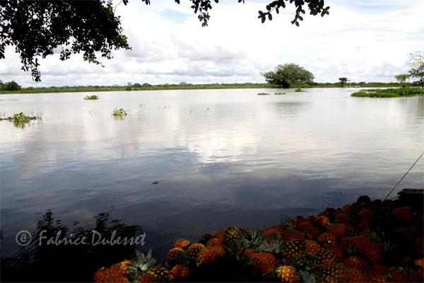 Mompox en Colombie pour illustrer un voyage autonome sans parler espagnol