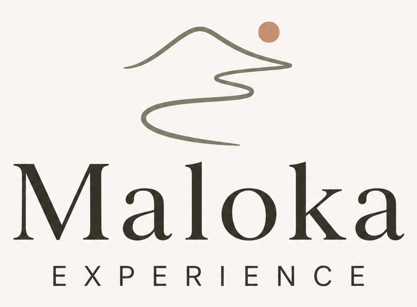Logo Maloka Experience